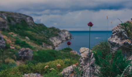Black sea, Tarkhankut Peninsula. Crimea, Hikingの写真素材