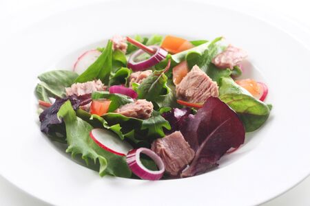 Mixed Salad With Tuna In A White Bowlの写真素材