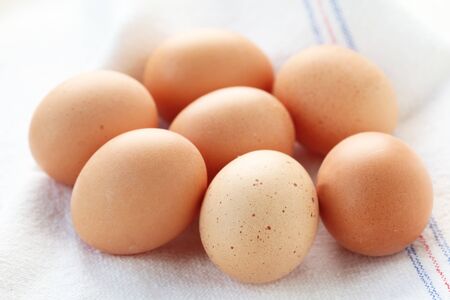 Raw Brown Eggs On A Textile Background