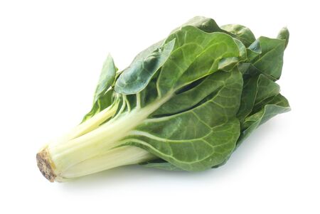 Fresh Chard Isolated On Whiteの写真素材