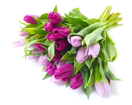 A Bunch Of Purple Tulips Isolated On Whiteの写真素材