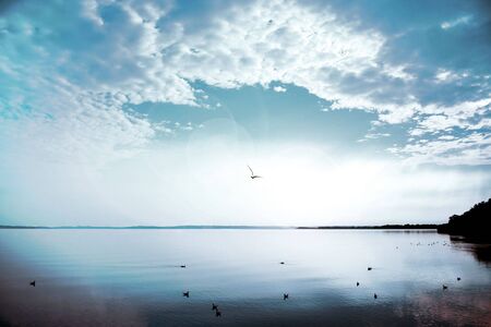 Towards The Sunの写真素材