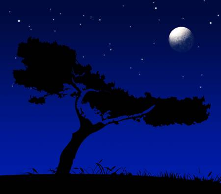 Abstract tree / meadow at night. の写真素材