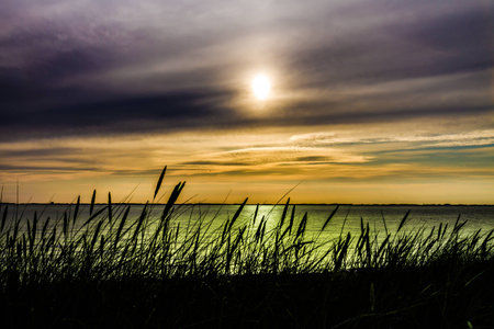 The beautiful nature at Albuen, Nakskov, Denmarkの写真素材