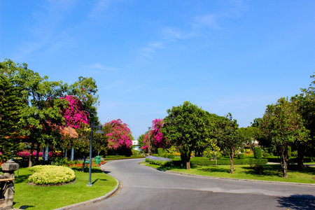 Suanluang rama9 of Bangkok, Thailand の写真素材