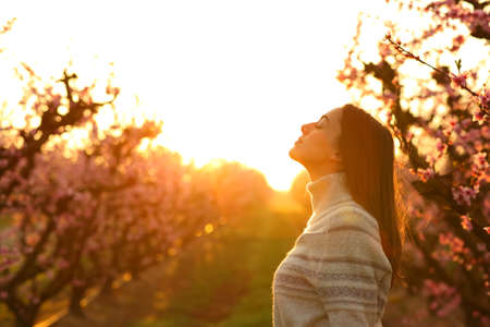 Side view portrait of a relaxed woman wearing sweater breathing fresh air at sunrise in a field in springの写真素材