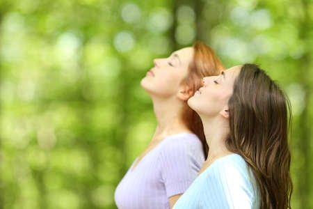Profile of two women breathing fresh air in a forest or parkの写真素材
