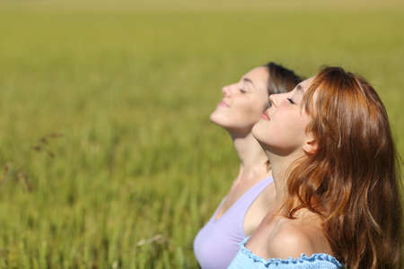 Side view portrait of two friends breathing fresh air in a wheat fieldの写真素材