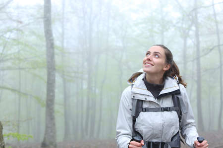 Front view portrait of an amazed trekker walking looking above in a foggy forest