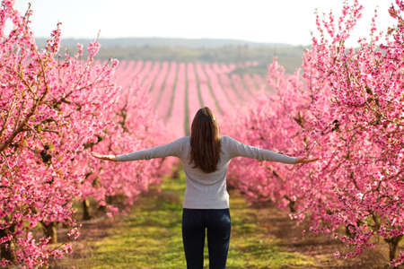 Back view of a happy woman outstretching arms in a pink flowered field celebrating spring seasonの写真素材