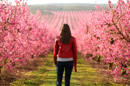 Back view of woman in red jacket walking in spring season in a pink flowered fieldの写真素材