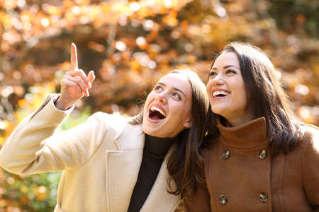 Two happy friends in autumn pointing and looking above in a parkの写真素材