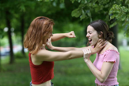 Two furious women fighting and shouting in a parkの写真素材