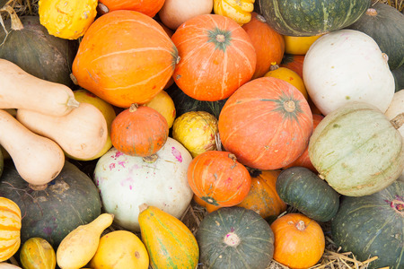 Assorted pumpkins