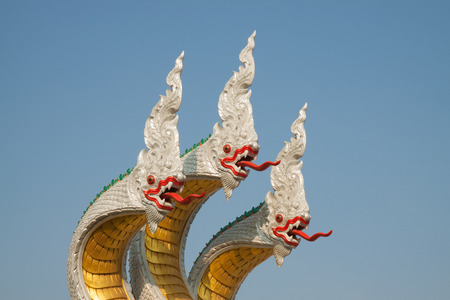 King of nagaの写真素材