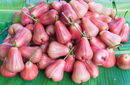 The many rose apple place on the groundのeditorial素材