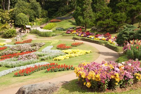 Many flower in the flower garden at thailandの写真素材