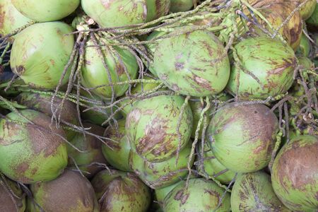 The green coconut fruit background in the marketの写真素材
