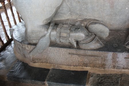 Hoysaleswara Temple Nandi big bull sculpture leg and tail around itの写真素材