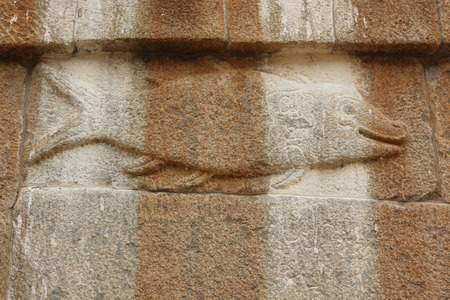 Wall carving of Fish at  Gomateshwara temple, Vindhyagiri, Shravanbelgolaのeditorial素材