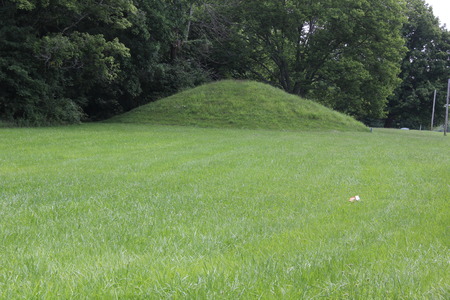 One of Twin Mound at the North Gate of Fort Ancientの写真素材