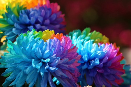 Beautiful flowers background