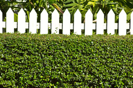 A beautiful unique fenceの写真素材