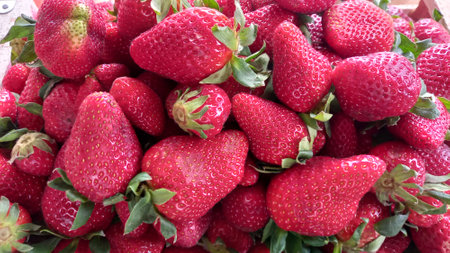 background of many red and delicious strawberriesの写真素材