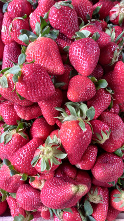 background of many red and delicious strawberriesの写真素材