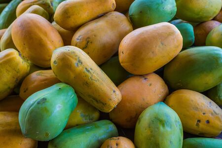 A pile of Holland papaya at the local flea market of northern Thailand for backgroundの写真素材