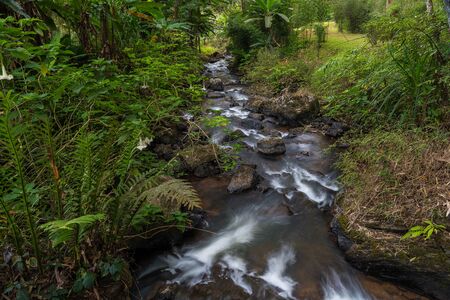Natural watercourse which become an essential water resource for nearby village in Mae Hong Sorn, Thailandの写真素材