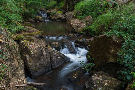 Natural watercourse which become an essential water resource for nearby village in Mae Hong Sorn, Thailandの写真素材
