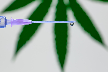 A droplet of vaccine at the tip of the needle and syringe reflecting the marijuana leafの写真素材