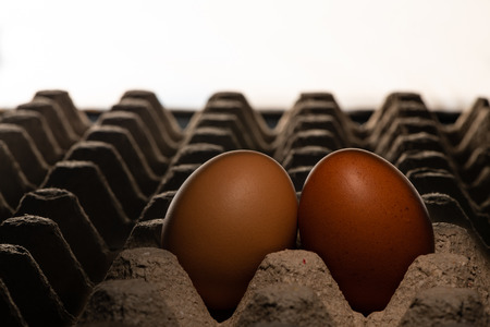 Two chicken eggs leaning on each other in the theaterの写真素材