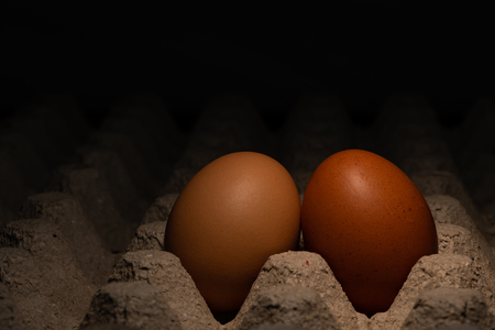 Two chicken eggs leaning on each other in the egg cartonの写真素材