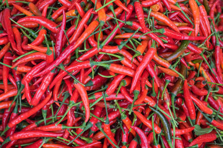 A pile of red chilli pepper use for backgroundの写真素材