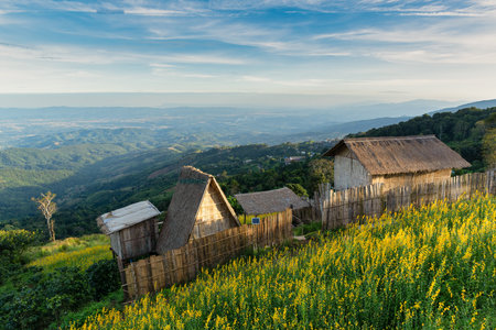 Cottages on Doi Mae Morn mountaintop with good scenic of beautiful mountainscape during evening golden hourの写真素材
