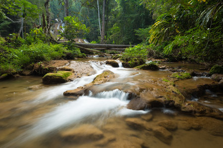 Clear water cascades over mossy rocks in a lush green forest, creating a peaceful scene of a natural stream flowing gently through the jungle.の写真素材