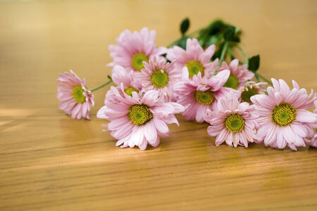pink flower on tableの写真素材