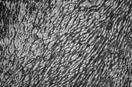 Abstract motif. textured pattern.の写真素材