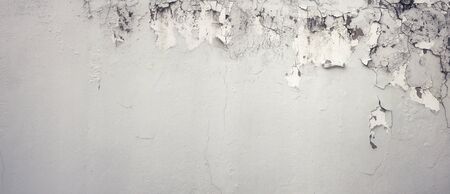 Old Wall with Moldy Peeling White Painting from Humidity. Cracked White Wall as Rusty Concrete...