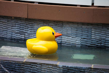 Funny duck toy in the blue clean pool background