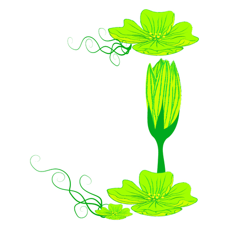font green flower J it all have green color.のイラスト素材