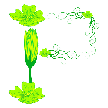 font green flower P it all have green color.のイラスト素材