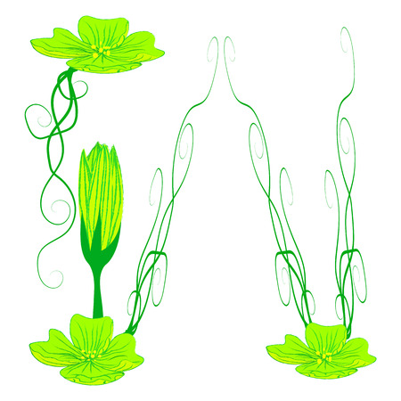 font green flower W it all have green color.のイラスト素材