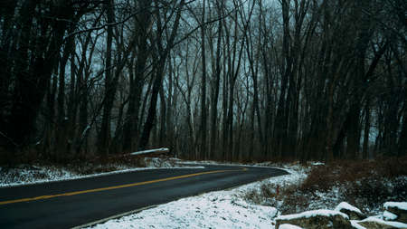 Small, two-lane paved road leading through bare forested area during winter, with snow on either side.の写真素材