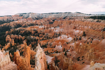 Valley of hoodoo rocks at Bryce Canyon National Park, Utah, on a overcast day.の写真素材