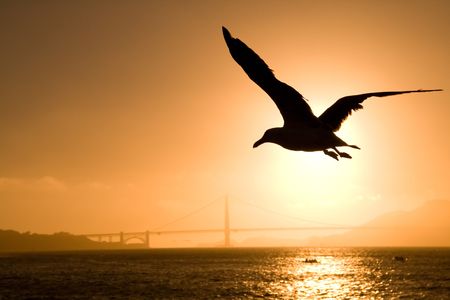 in front of the seaの写真素材