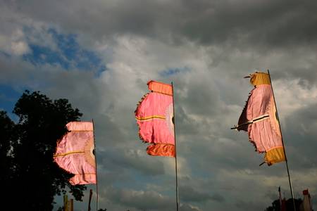 Flags on display at Lloyd Park Croydon Surrey