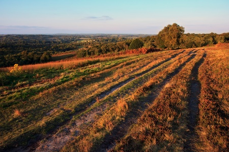 A view of Ashdown Forest in East Sussexの写真素材